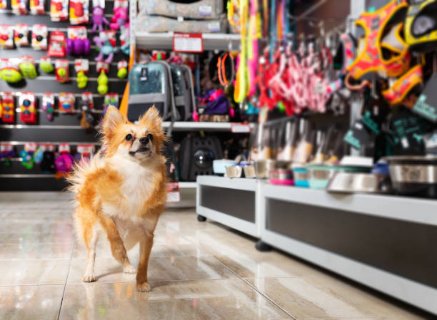 Petshop